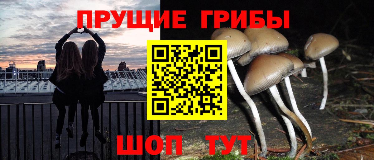 Псилоцибиновые грибы Magic Shrooms  Псилоцибиновые грибы Psilocybine cubensis  цены наркотик  Лыткарино  Вход с VPN 