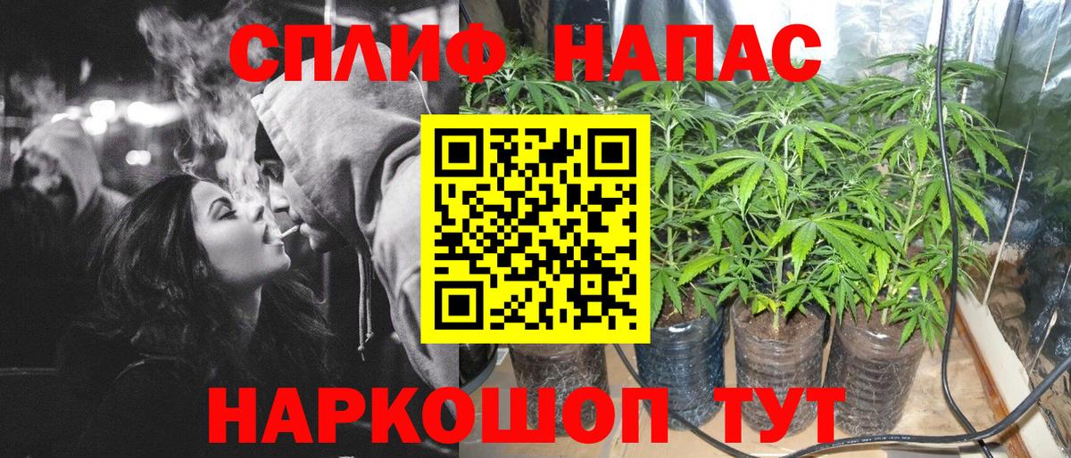 Бошки марихуана семена Лыткарино